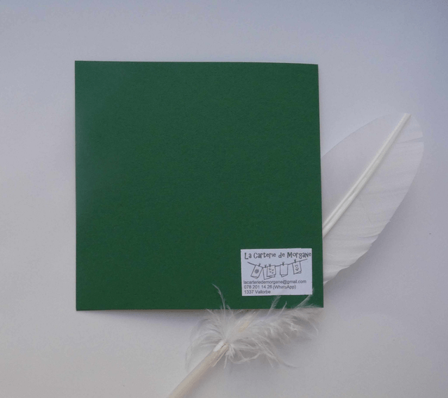 La bellle grenouille verte