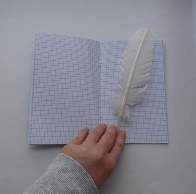 Petit carnet quadrillé aux bergeronnettes grises