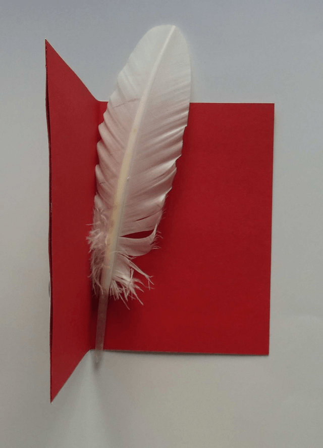 Un papillon pour une confirmation