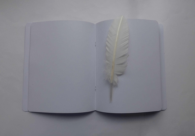 Le carnet de dessin aux dinosaures